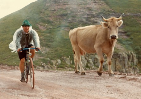 Italy. Man On Bicyle And Cow. 1974.