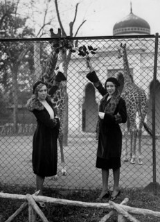 Italy. Rome. Models At The Giraffe Enclosure At The Zoo. 1920-30