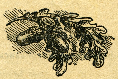 In the wake of Robinson Crusoe.