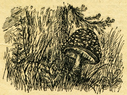 In the wake of Robinson Crusoe.