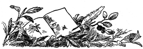 In the wake of Robinson Crusoe.