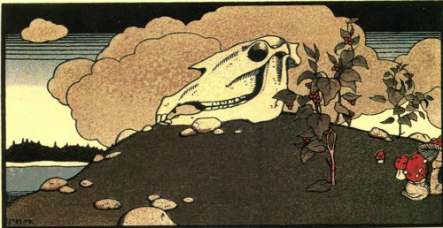 Horse skull.