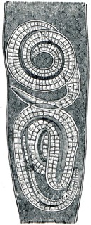 Free trichina in the muscle fibers.