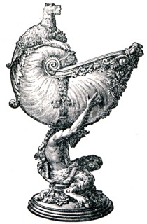 Goblet Nautilus.