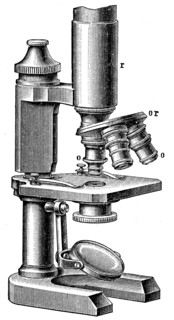 Microscope with three lenses.