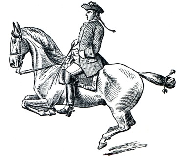 Graduate School of Riding - Kruppada.