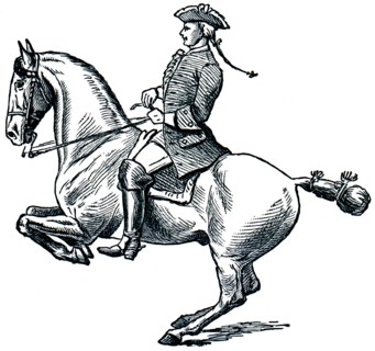Graduate School of Riding - Levada.