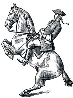 Graduate School of Riding - Pezada.