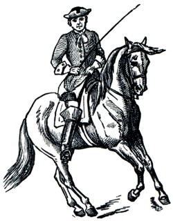 Graduate School of Riding - Pirouette.