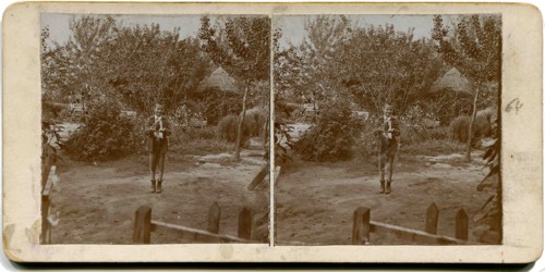 A stereo, a boy stands in the yard and holding a falcon.