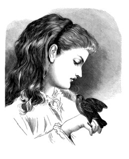 Girl has a small bird on her hand