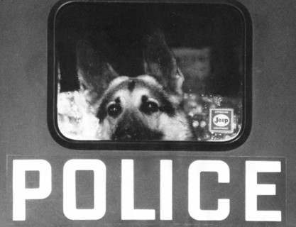 Police Dog