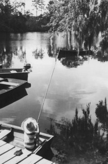 A boy fishing in the scott creek river.