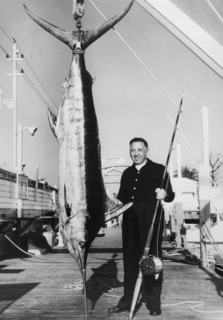 A blue marlin caught off miami beach.