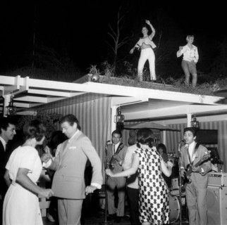 Private party in a garden.