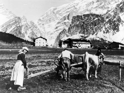 Peasants Working In The Fields.