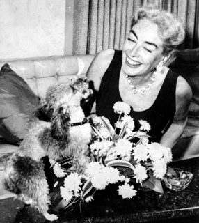 Joan Crawford With Her Dog.