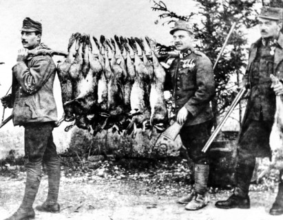 Supply Of Austrian Troops.