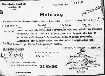 Punishment Order For An Internee In The Auschwitz Camp.