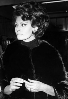 Sophia loren