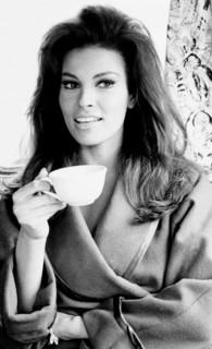 Raquel welch, 1966