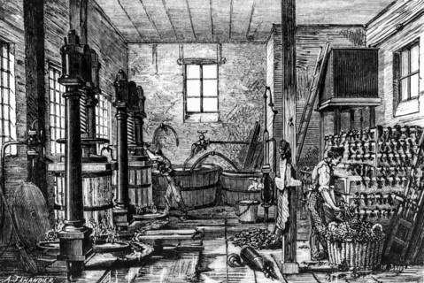 Antique engraving of a tobacco manufactory