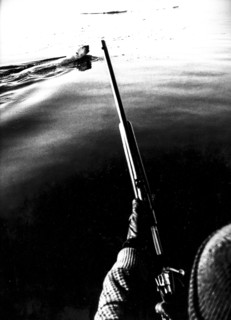 Hunting polar bear in canada
