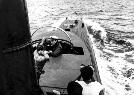 S.s. morosini, ionio sea
