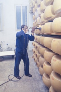 Dairy industry, parmigiano reggiano production, 70's
