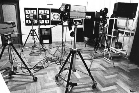 Cameras in telecavo color, 70's