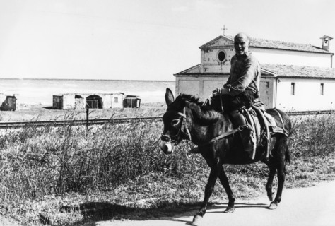 Man ride his donkey, ionian sea, calabria, italy, 60's