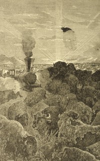 Les 500 millions de la Begum, jules verne