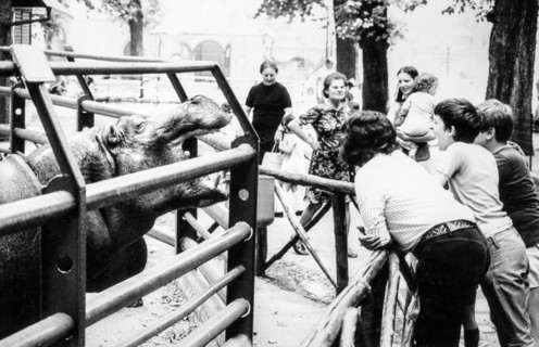 Zoo, milan