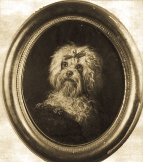 Lulu, the little dog of giuseppe Verdi