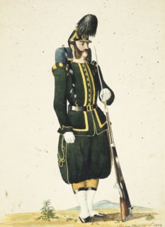 Savoy army, 1864