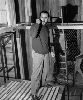 Vittorio gassman, 60s