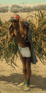 Moki Farmer