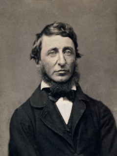 1856 Portrait of Henry Thoreau
