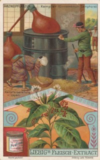 Picture series the preparation of medicinal plants
