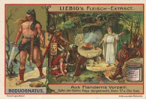 Picture series from prehistoric times in Flanders