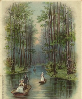 Spreewald near Lübben, district Dahme-Spreewald in Lower Lusatia in Brandenburg, Germany, view from