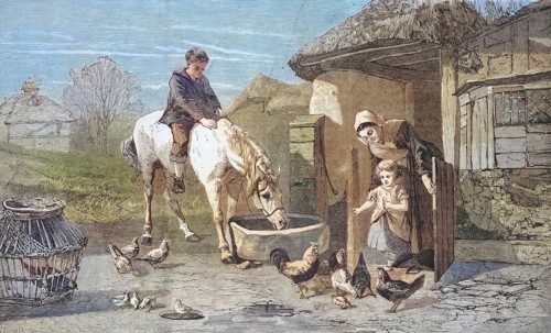The gate to the farm