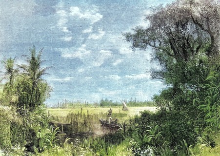 Landscape in Rio Grande do Sul in the south of Brazil