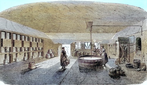Model farm in Zealand in 1896