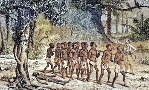 Slaves crossing a forest of the dead