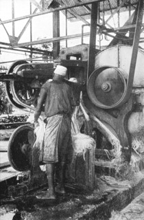 Sisal processing machine in German East