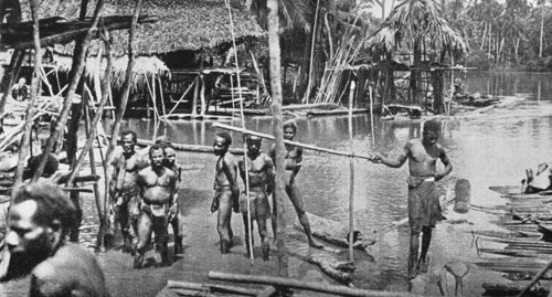 Papua from the Potter River in the interior of German New Guinea