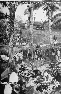 The vegetable raw materials of the German colonies