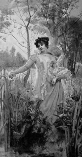 Flora