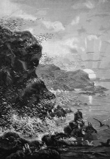 Guano Island
